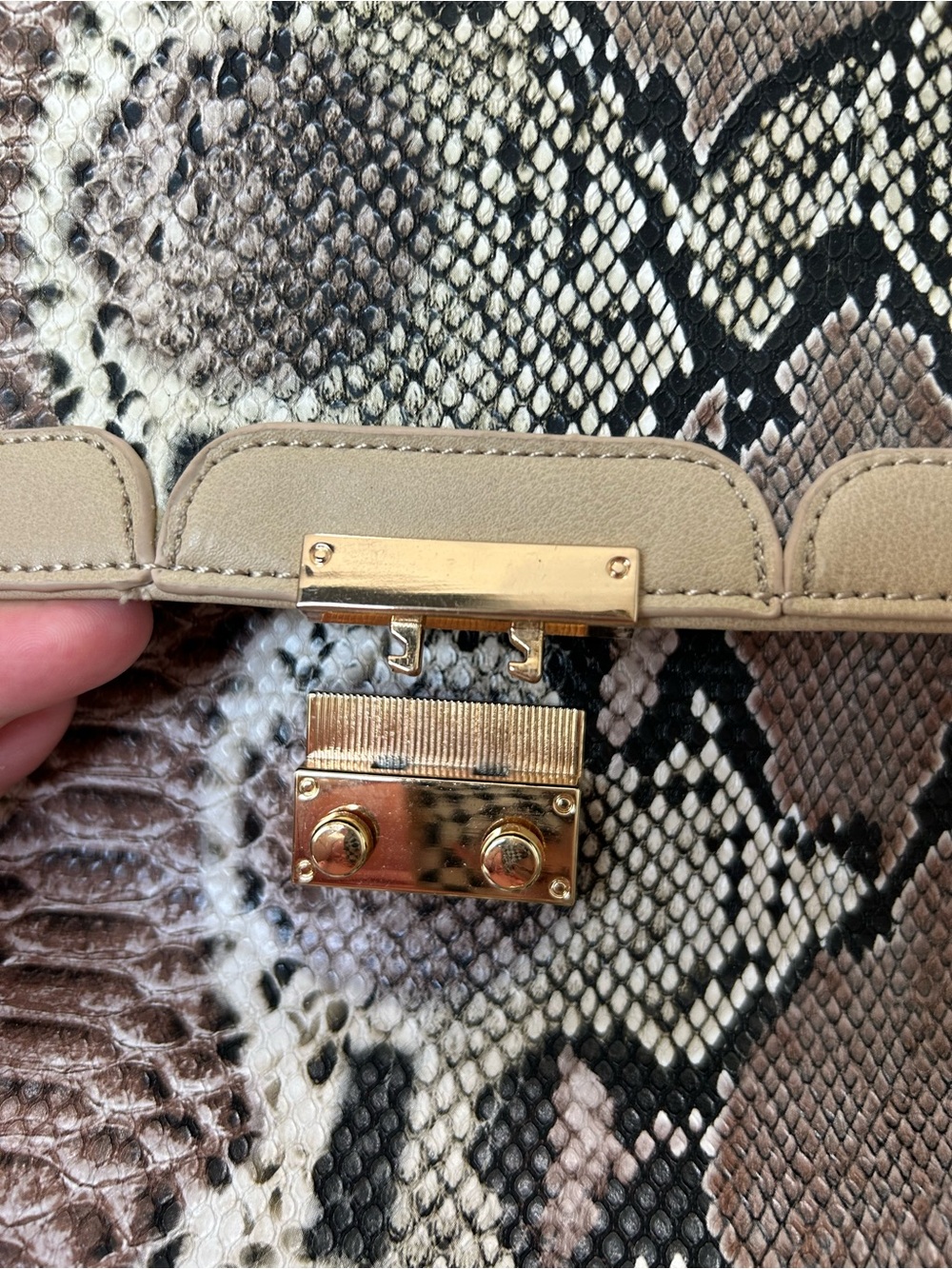 Fashion Purse - Picture 5 of 13